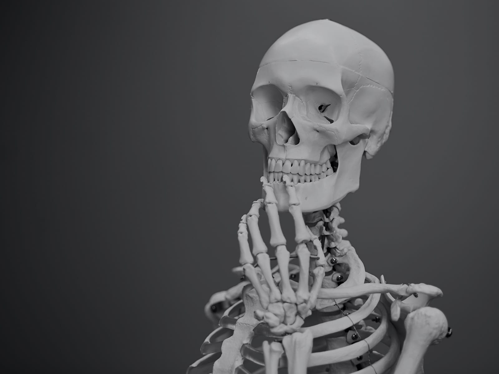 A skeleton asking what chiropractic really is